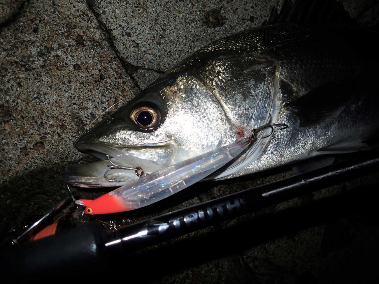 Permission 97SMH (SeaBass Spinning Model) | TRUTH JAPAN