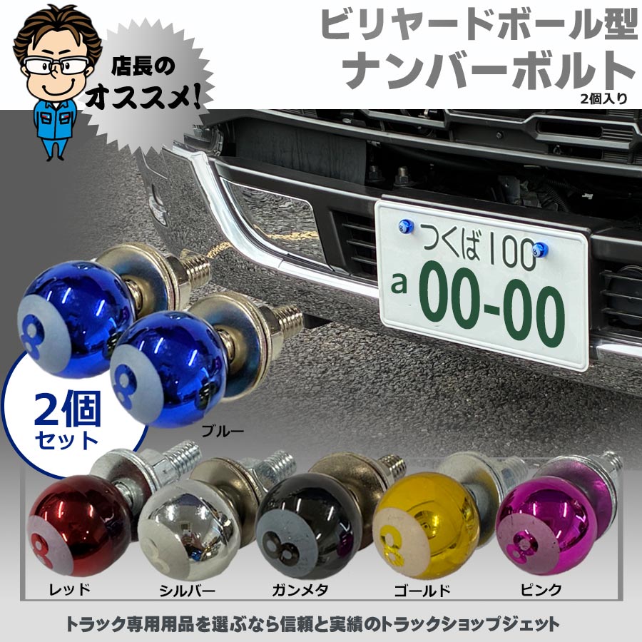 バイザー付ナンバー枠 ウロコ ステンレス製 大型車用｜【公式