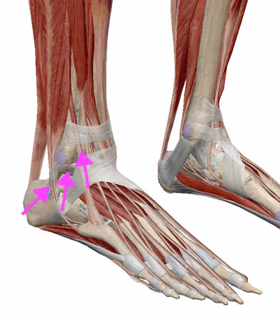 東京で唯一の【理学療法士×加圧】経堂・祖師谷のパーソナルジム アロー