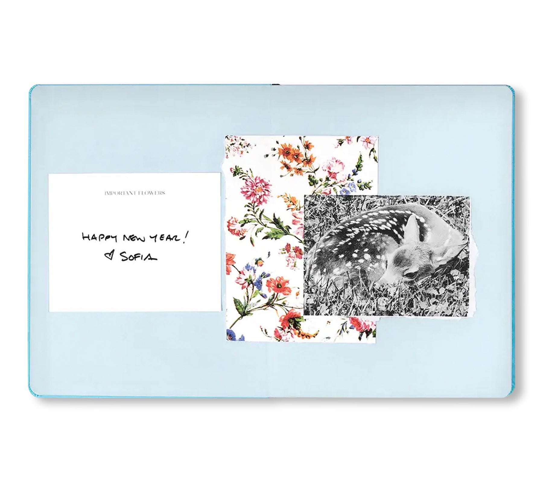 THE IMPORTANT FLOWERS PLANNER 2026 by Sofia Coppola – twelvebooks