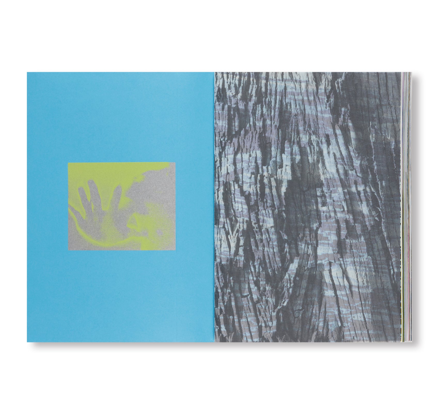 PATHÊMES by Marcelo Gomes – twelvebooks