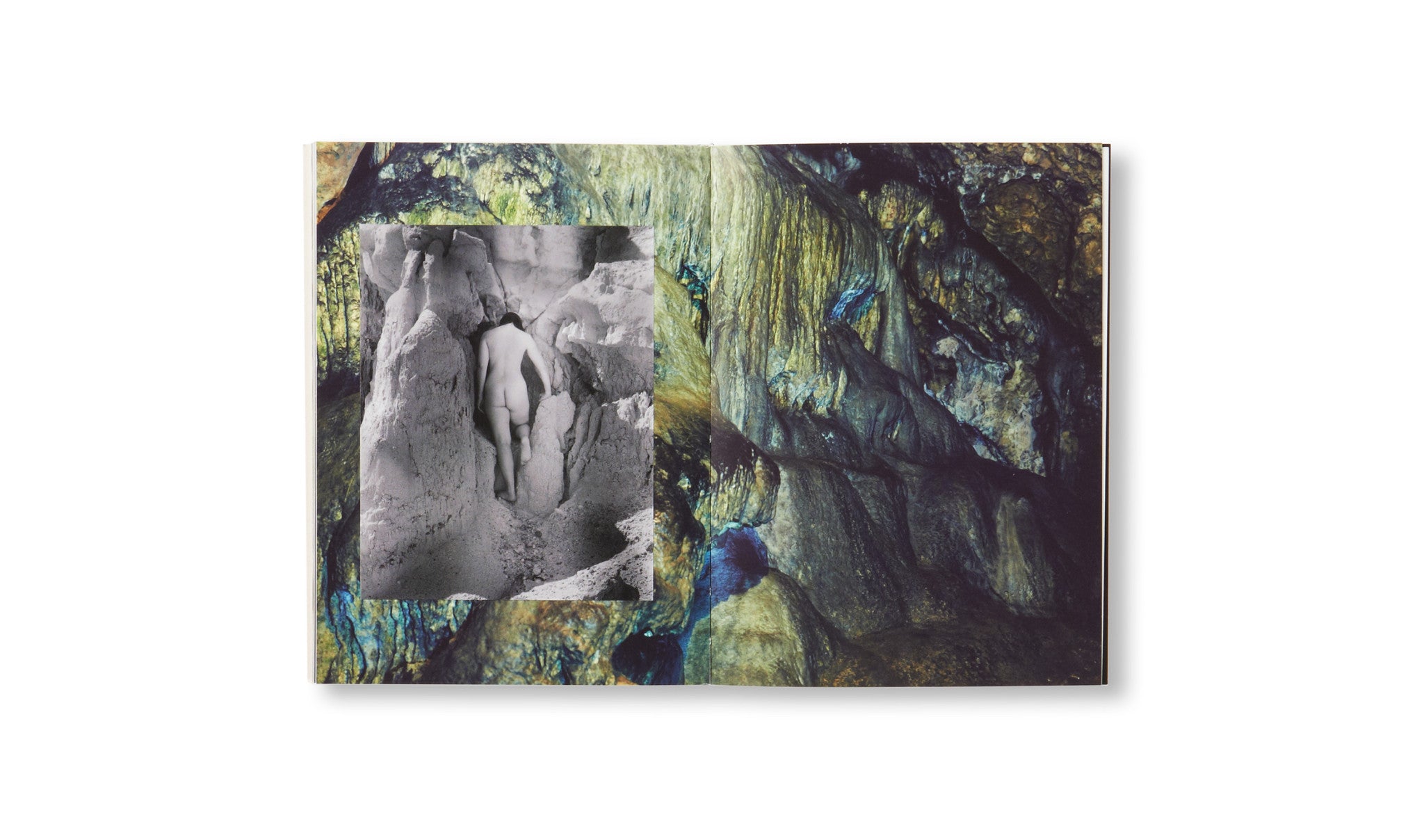 アート・デザイン・音楽 SPBH BOOK CLUB VOL.V アート・デザイン・音楽