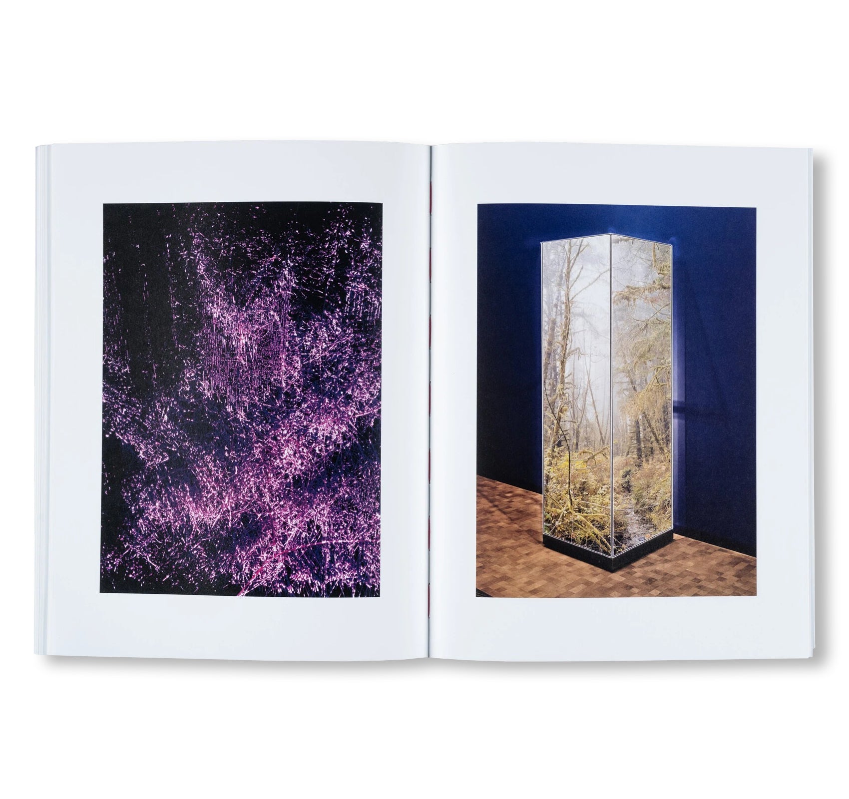 FUTURE MEMORIES by Taiyo Onorato & Nico Krebs – twelvebooks