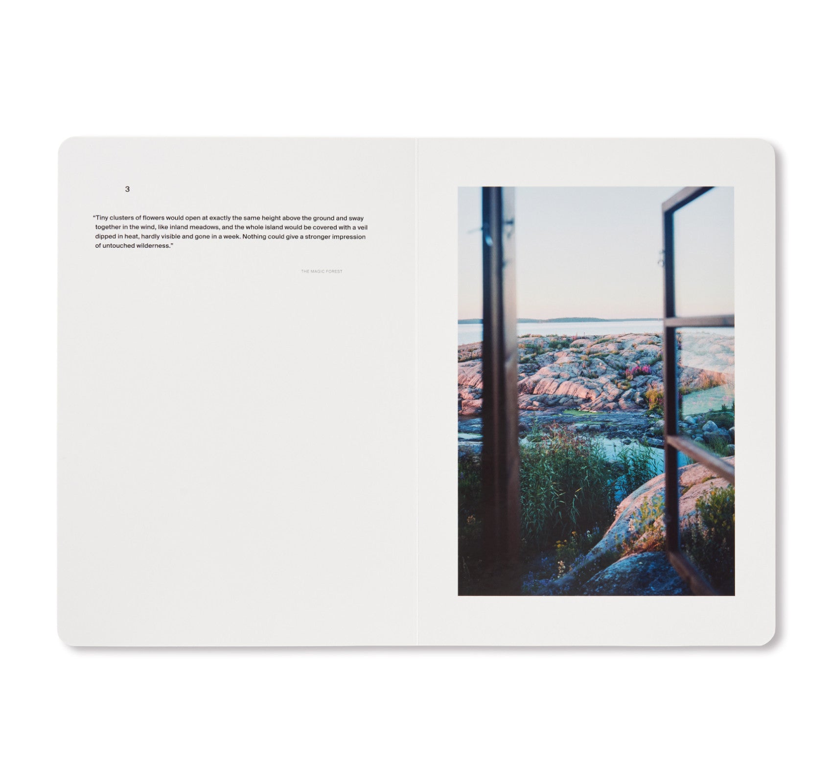 A SONG FOR WINDOWS by Takashi Homma – twelvebooks