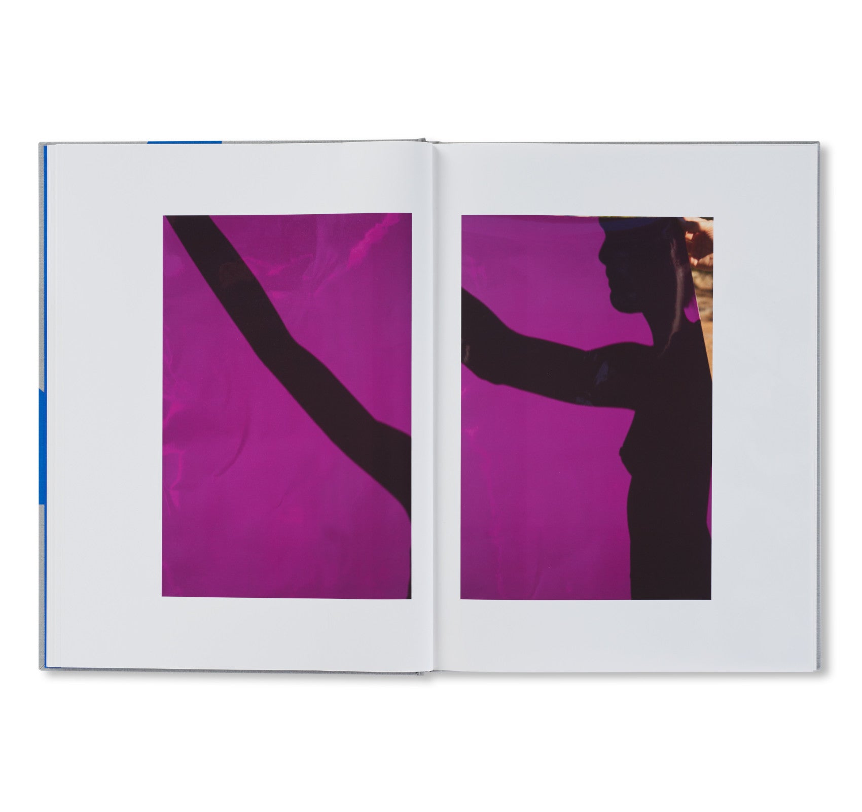 ROXANE II by Viviane Sassen [FIRST EDITION] – twelvebooks