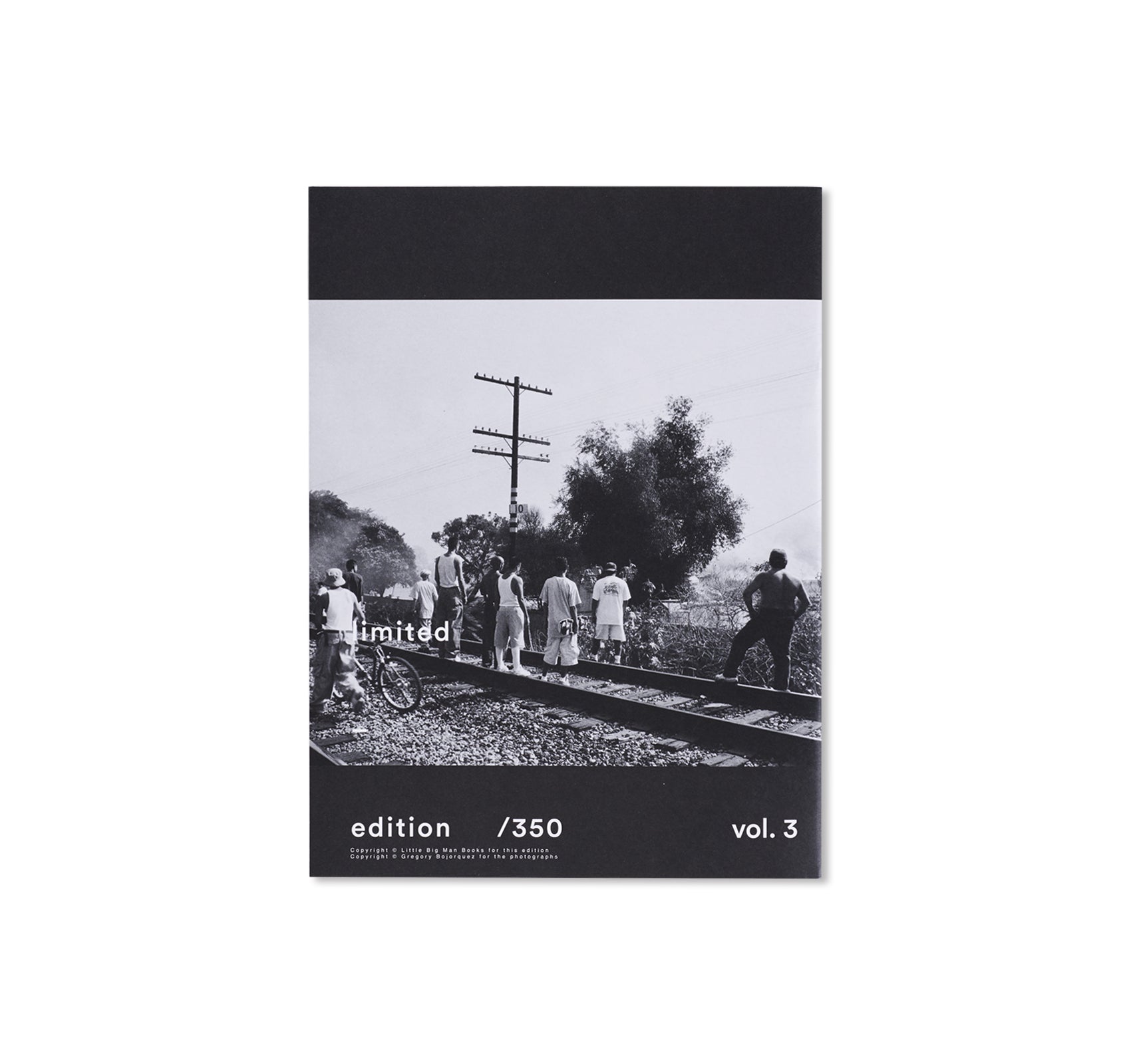 WALLS & BRIDGES by Gregory Bojorquez – twelvebooks