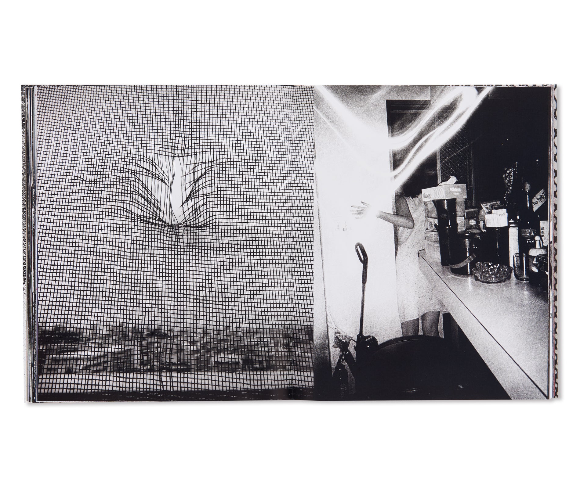 A DIARY - HASSELBLAD AWARD 2019 by Daido Moriyama – twelvebooks