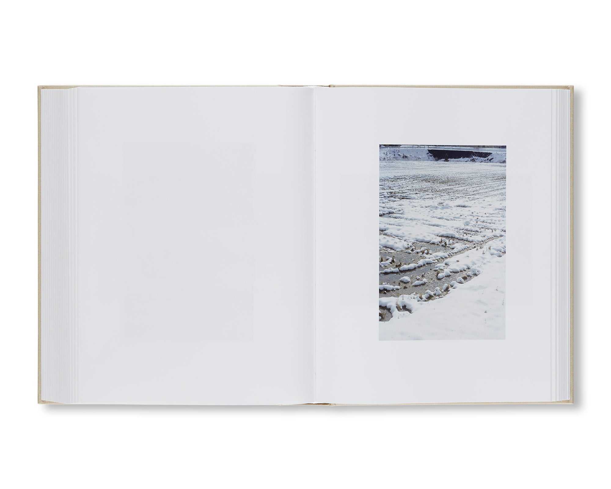 SHIOTANI by Anders Edström [SIGNED] – twelvebooks