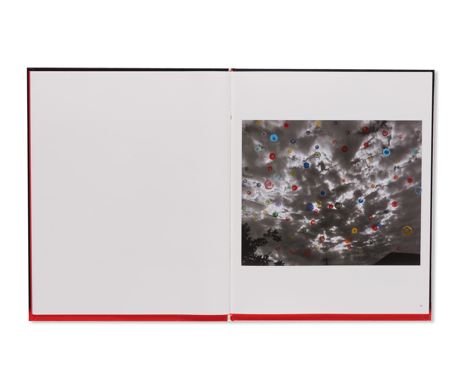 好色ペインティング / KOSHOKU PAINTING by Nobuyoshi Araki – twelvebooks