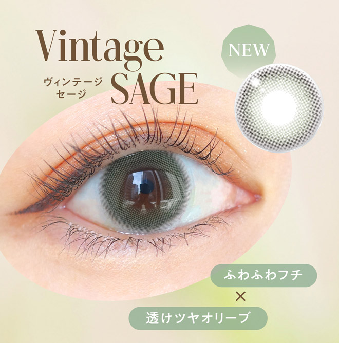 エンジェルカラーバンビヴィンテージワンデー ヴィンテージセージ 10枚