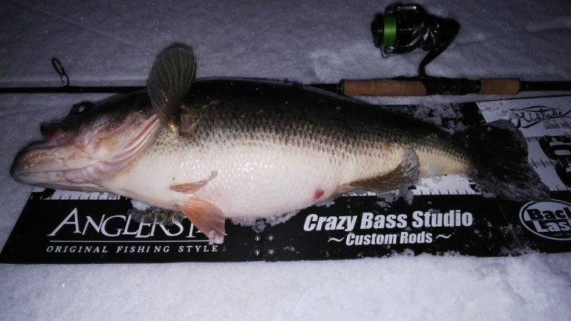 TULALA | Ford every stream | » Monstruo”ConceptDestruction” 66MLS