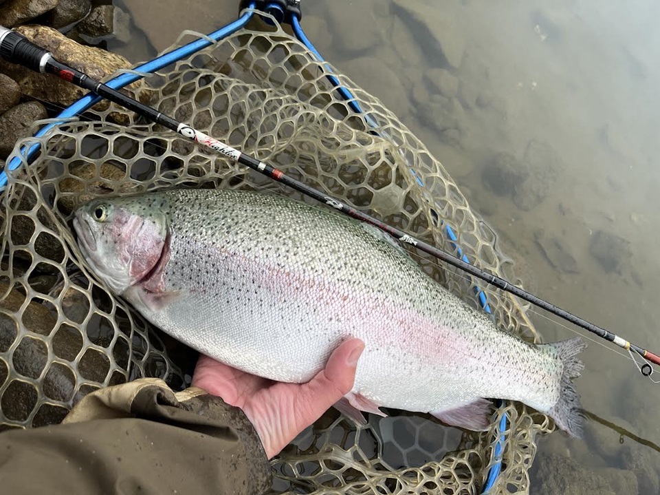 TULALA | Ford every stream | » 【STAFF】遊べる3ピーススピニング