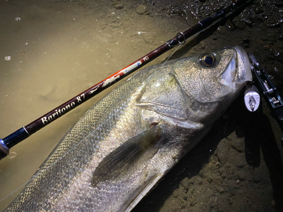 TULALA | Ford every stream | » 【公式】特筆すべきは水中解像度