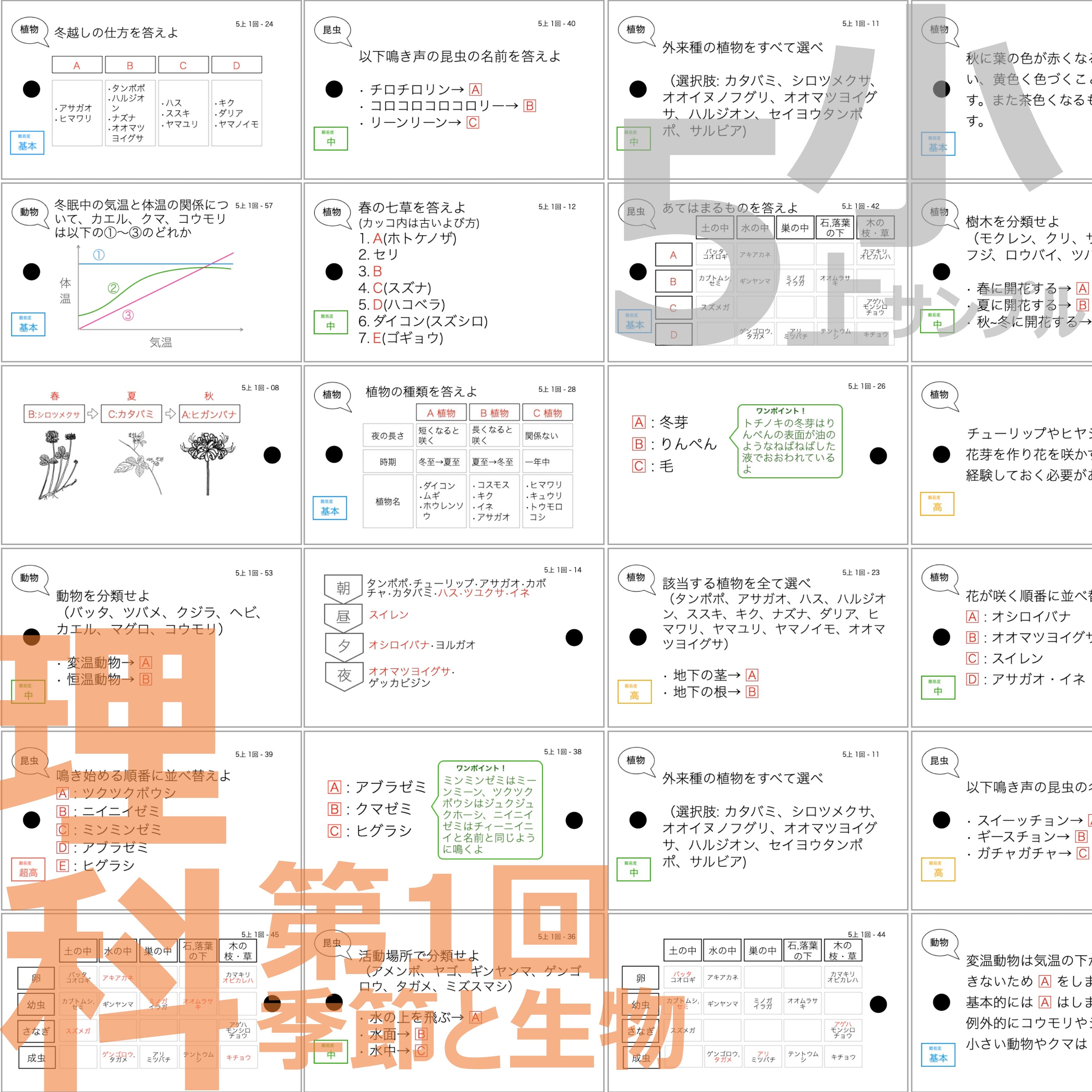 中学受験 暗記カード）5年上 全セット 社会・理科 1-19回 – TT1