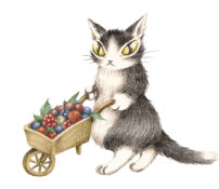 バニラ - わちふぃーるど(猫のダヤン)のキャラクター紹介