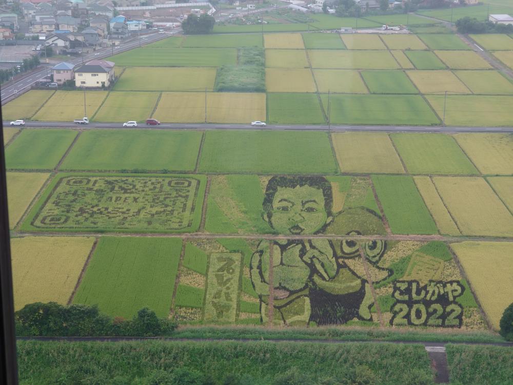 田んぼにお絵かき！？【祖師ヶ谷大蔵】 - Fuse 祖師ヶ谷大蔵｜TVG