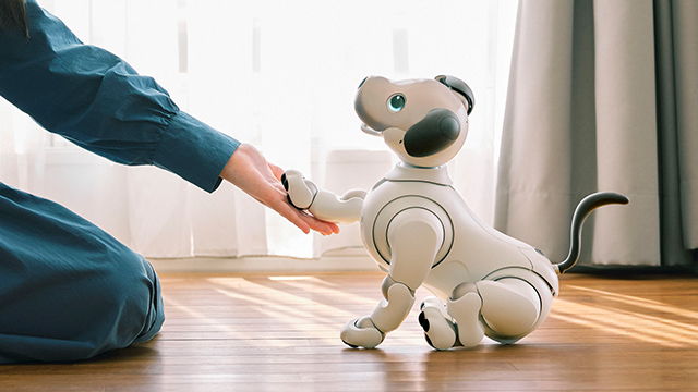 レンタル] ソニー エンタテインメントロボット aibo アイボリー