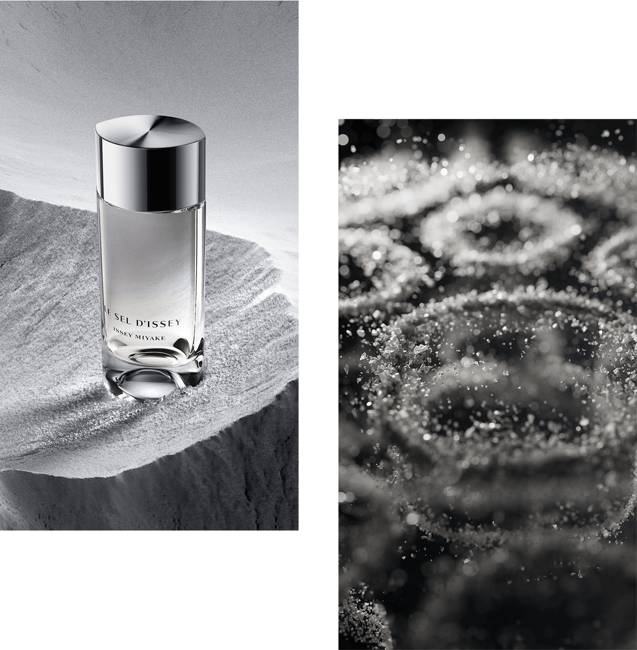 LE SEL D'ISSEY EAU DE TOILETTE | イッセイ ミヤケ ル セルドゥ