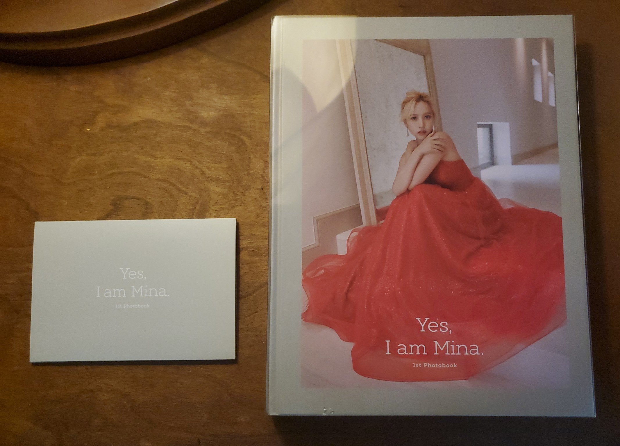 Yes,I am Mina 〜Gray ver〜 Yes, I am Mina: 1ST PHOTOBOOK＜Gray Ver