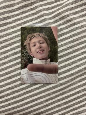 Cortis Color Outside the Lines Martin Target | Mercari