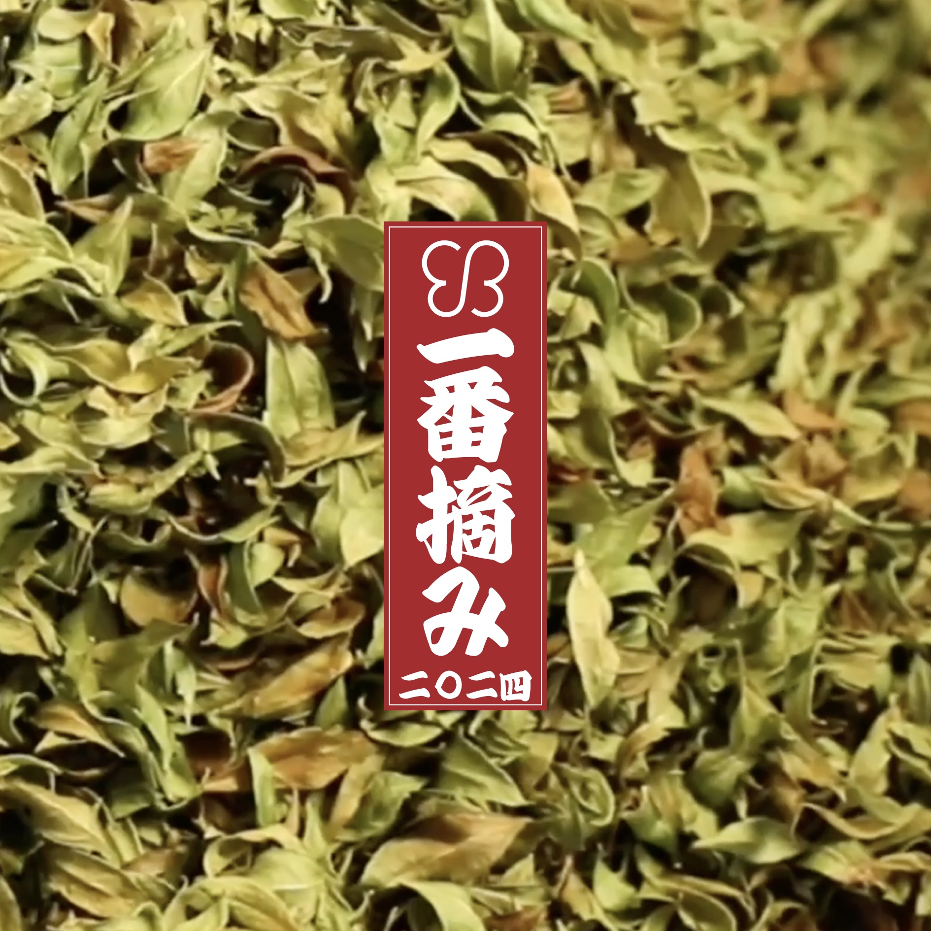 uka Queen of Ishigaki henna Hazelnut vanilla（一番） | 【公式