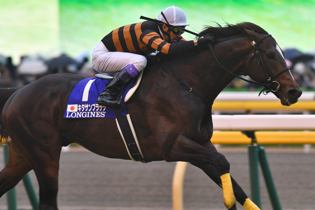 第36回 ジャパンカップ 全馬単勝馬券 キタサンブラック 第36回