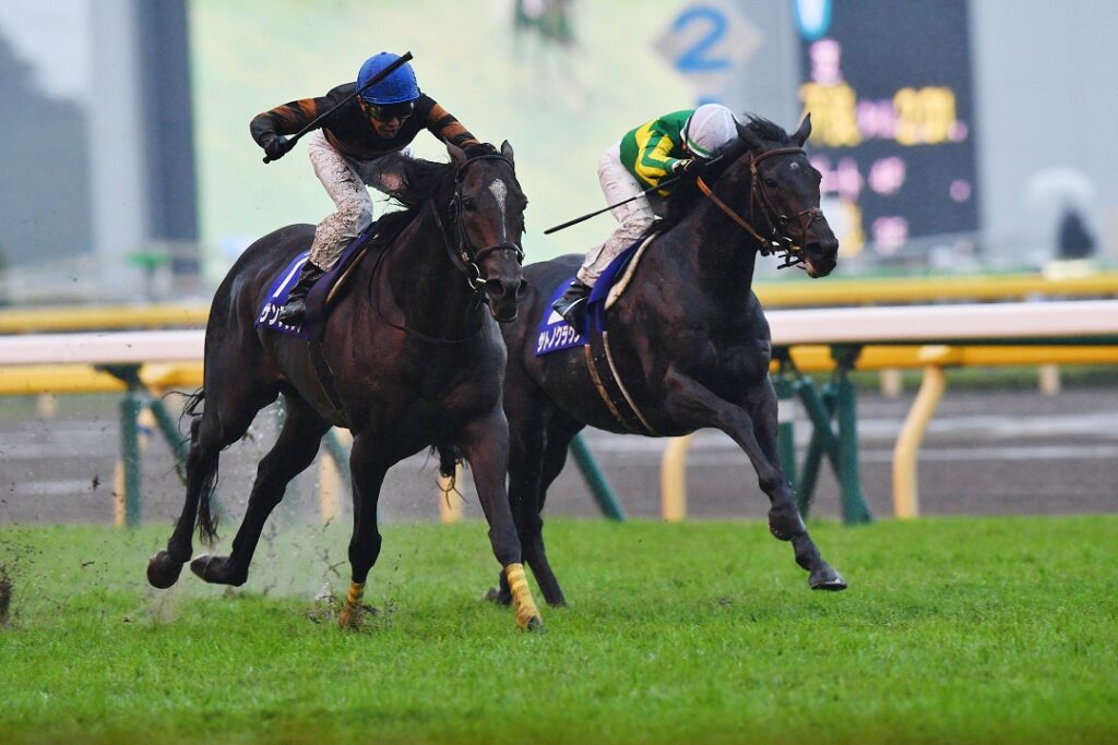クラシックではキタサンブラック、ドゥラメンテらと対峙。香港で初の