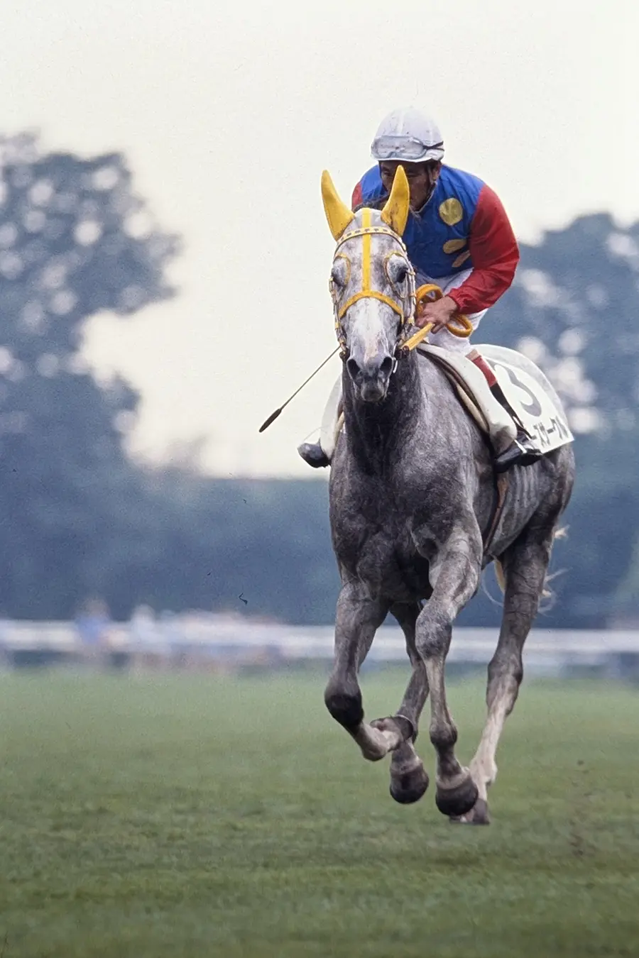 第56回(1989年)東京優駿(日本ダービー) | 岡田修平のアノ瞬間 | UMATO