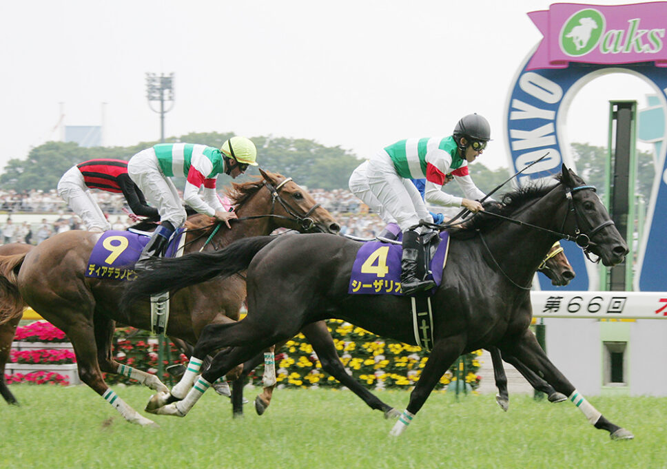 c0ce8bd28785b721ea251528e9b224