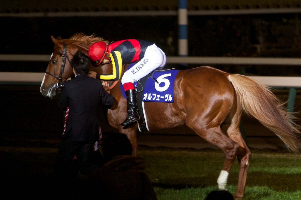 競馬写真】2013年 第58回有馬記念(GI) オルフェーヴル