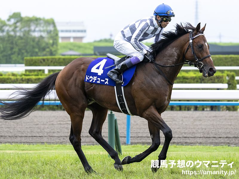 天皇賞（秋）2024】出走予定馬最速チェック リバティアイランド