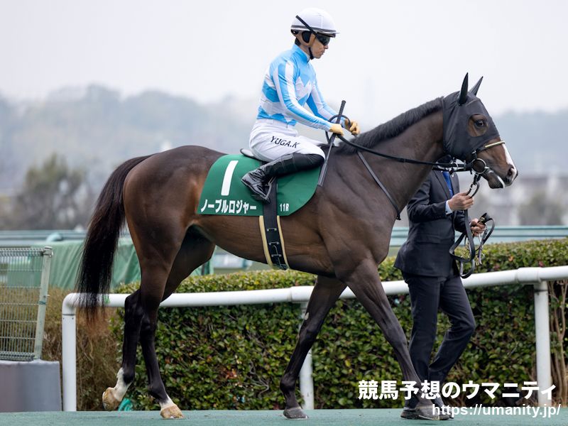 根岸S2026】伊吹雅也のピックアップ競馬データ～特選重賞データ分析編