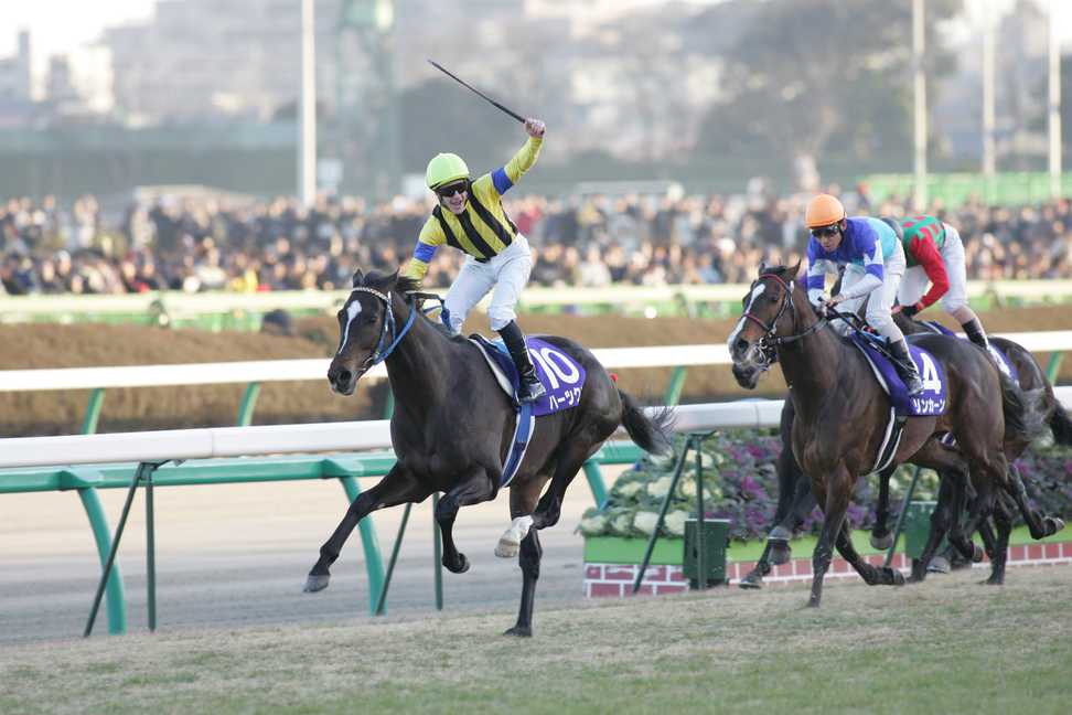 ハーツクライ22歳で死す 有馬記念＆ドバイでV～ゆかりの関係者が