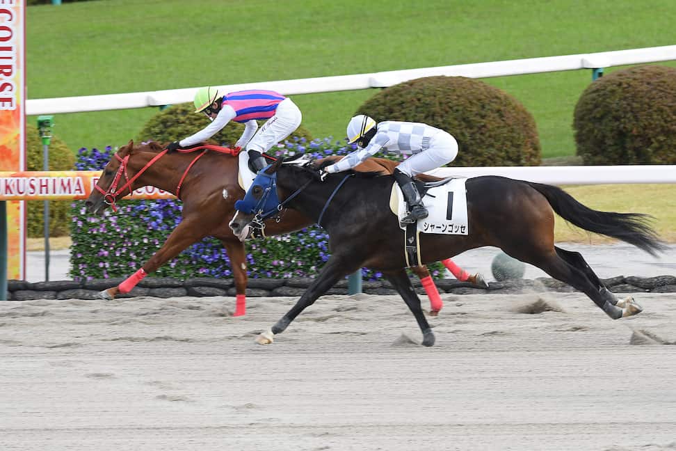 遥かなる世界の競馬地図】3歳以上のJRA現役産駒が1頭だけ！ 激レアな