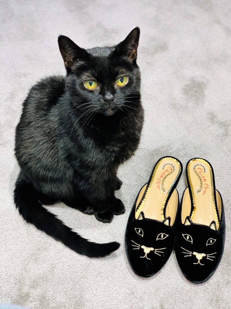 Charlotte Olympia Kitty Flats Review – The Purrfect Ballerinas