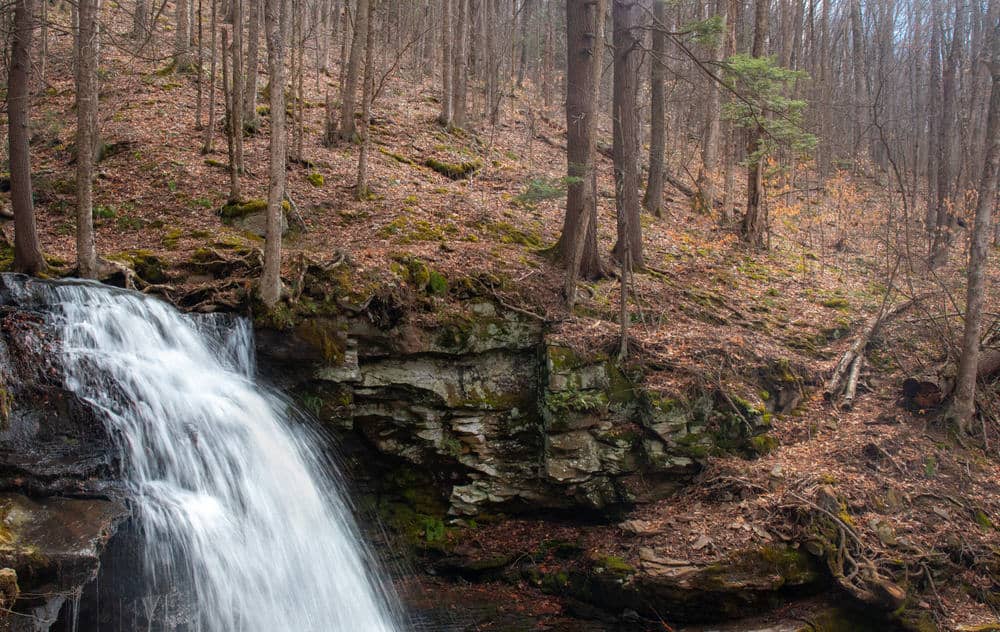 17 Things to Do in Worlds End State Park: Waterfalls, Vistas, and