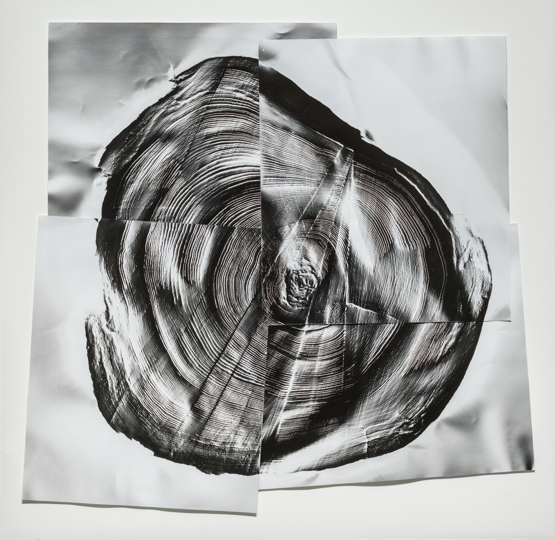 アート・デザイン・音楽 natural phenomenon アート・デザイン・音楽