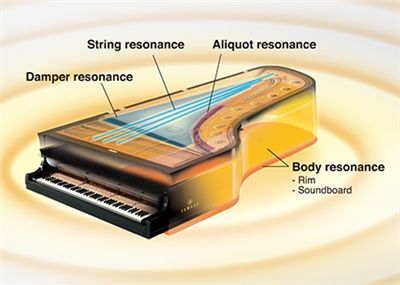 SILENT Piano™ SH2 - Features - SILENT Piano™ - Pianos - Musical