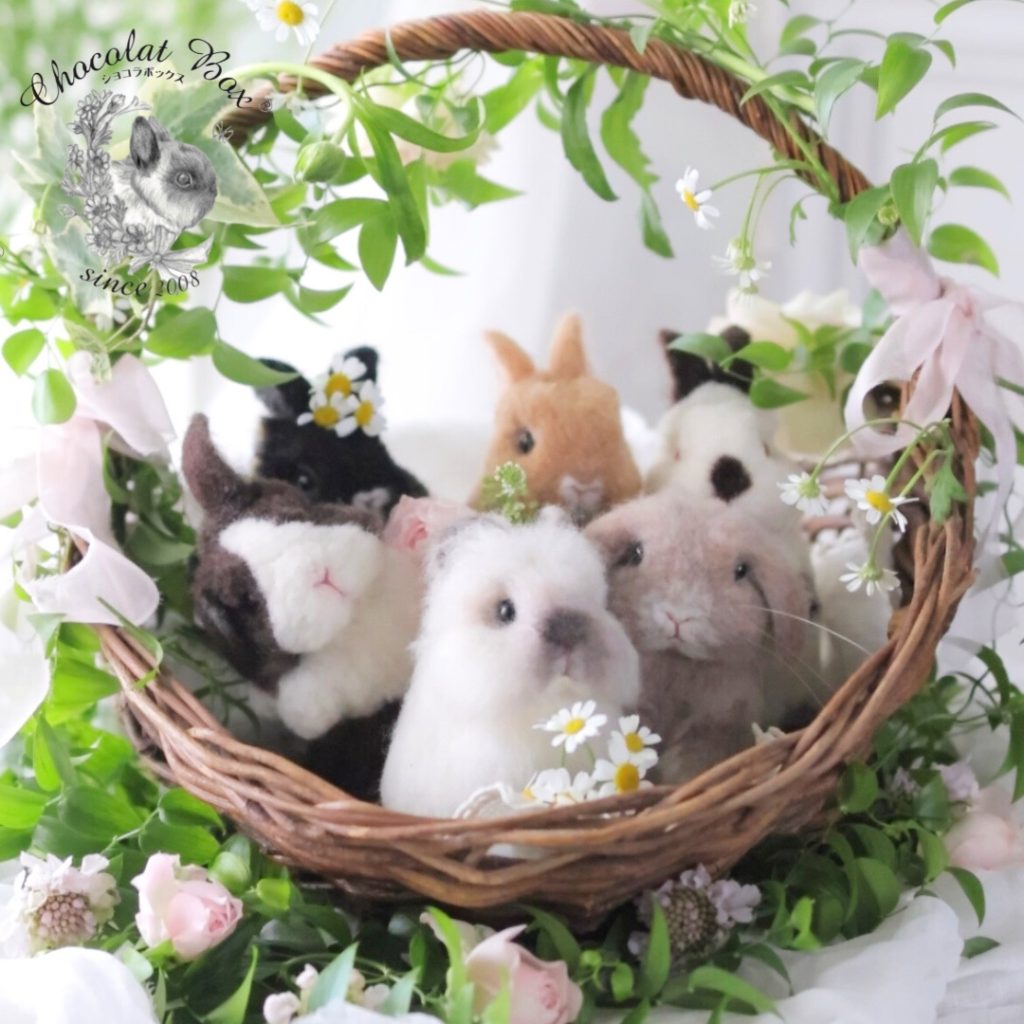 Chocolat Box®︎ | うさぎ作家 | うさフェスタ2024