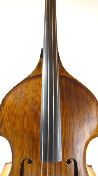 The Karr Double Bass | Hand Crafted Upton Bass | String Instrument