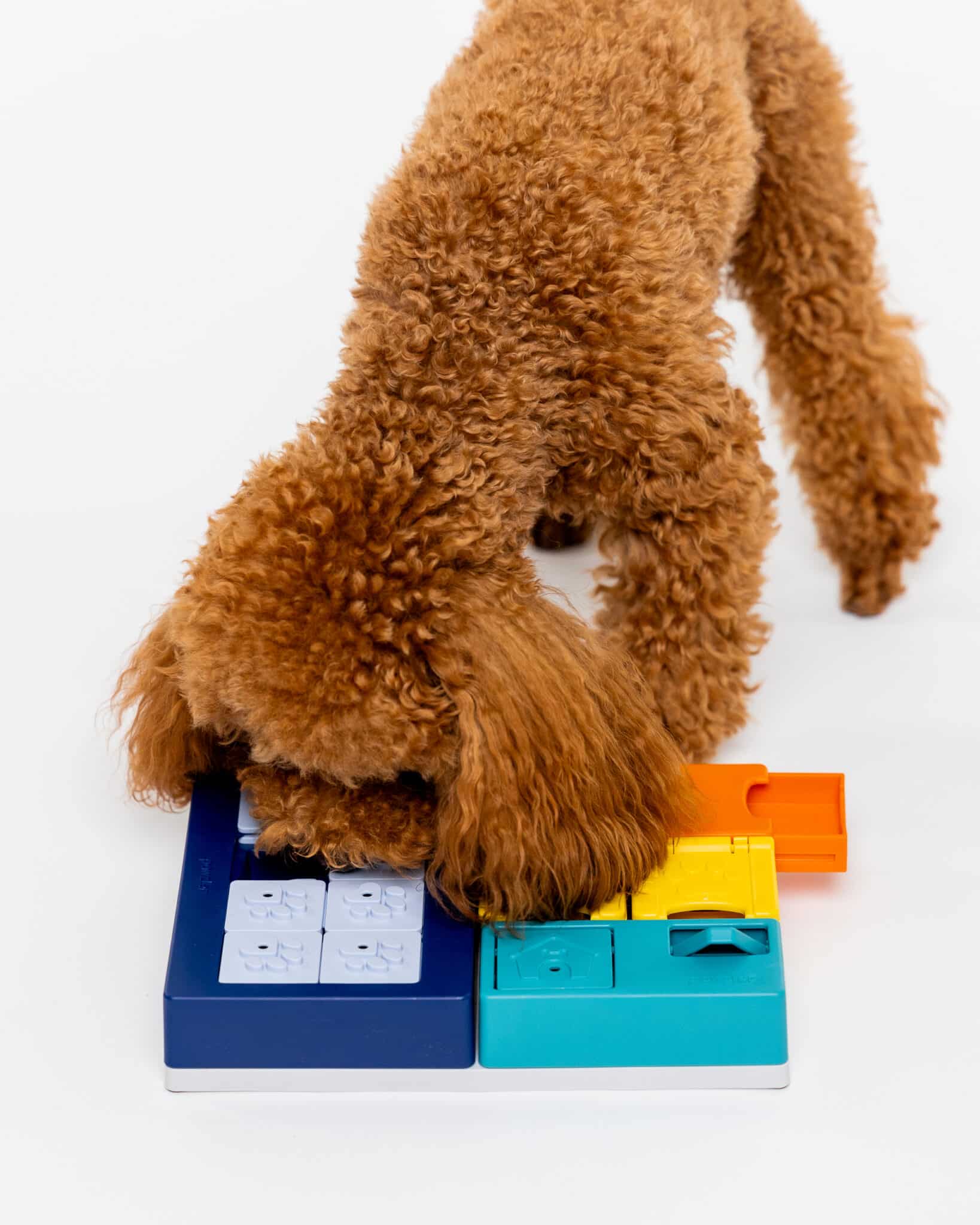 Smarty Set - Pawzler - Innovative Modular Dog Puzzles
