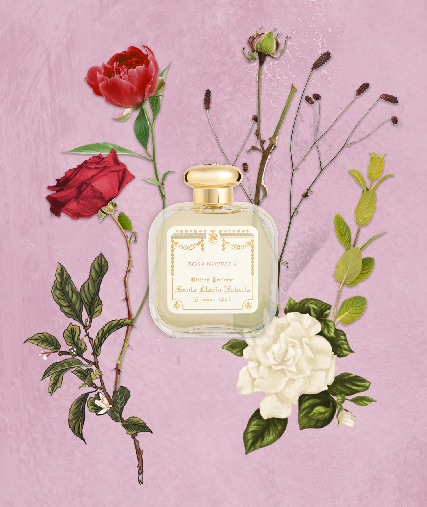 Rosa Novella: Eau de Cologne - Santa Maria Novella