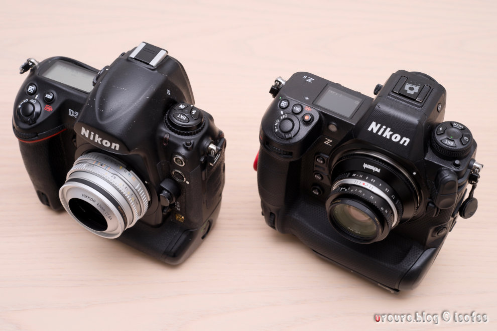 古のNikon D3 と最新 Z9 を1ヶ月持ち歩いてみた一日一撮・博多うろうろ