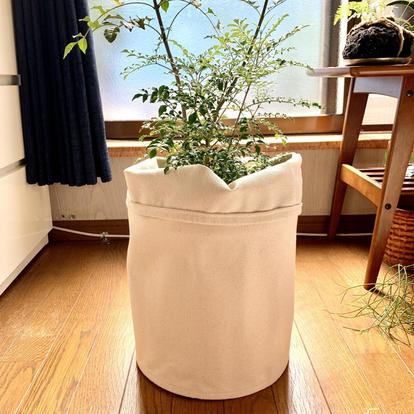 無印良品】観葉植物のお世話がめちゃラクに！使わなきゃソンな
