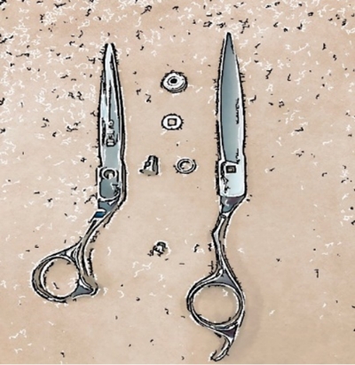 動画あり】ハサミ（シザー）お手入れ時の分解/本格メンテナンス