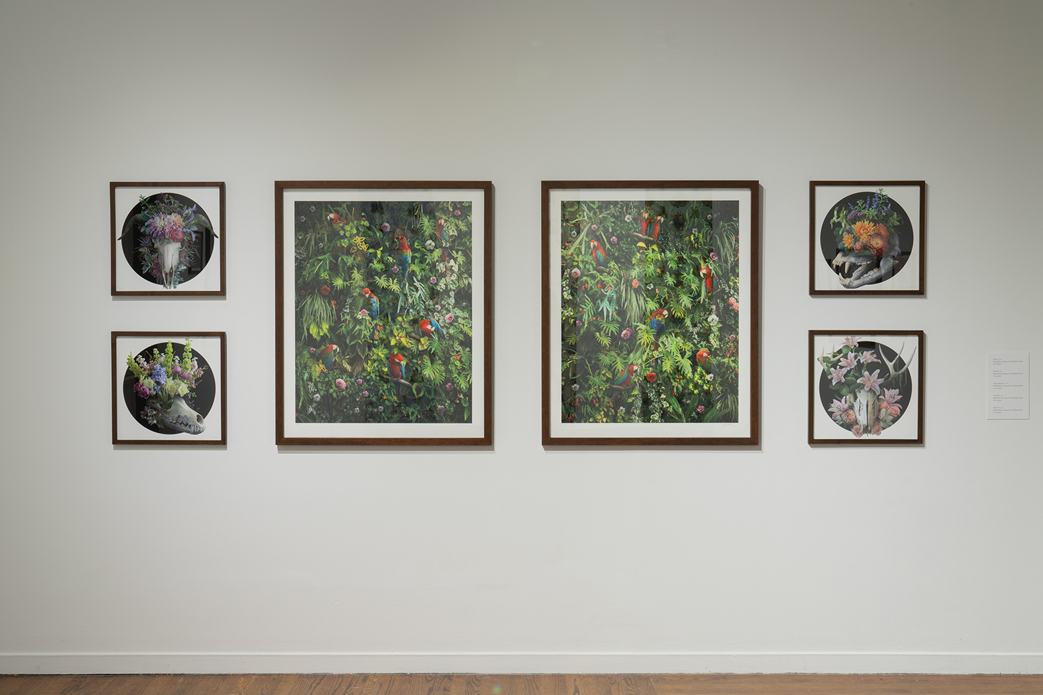 UMOCA | Nick Pedersen: Slow Apocalypse