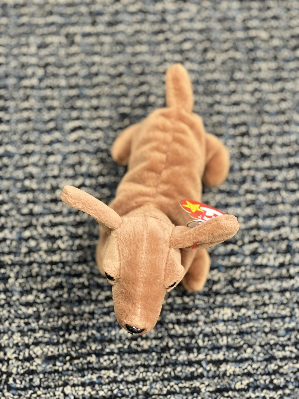 RARE Ty Beanie Baby Weenie the Dachshund w/Errors Waterlooville
