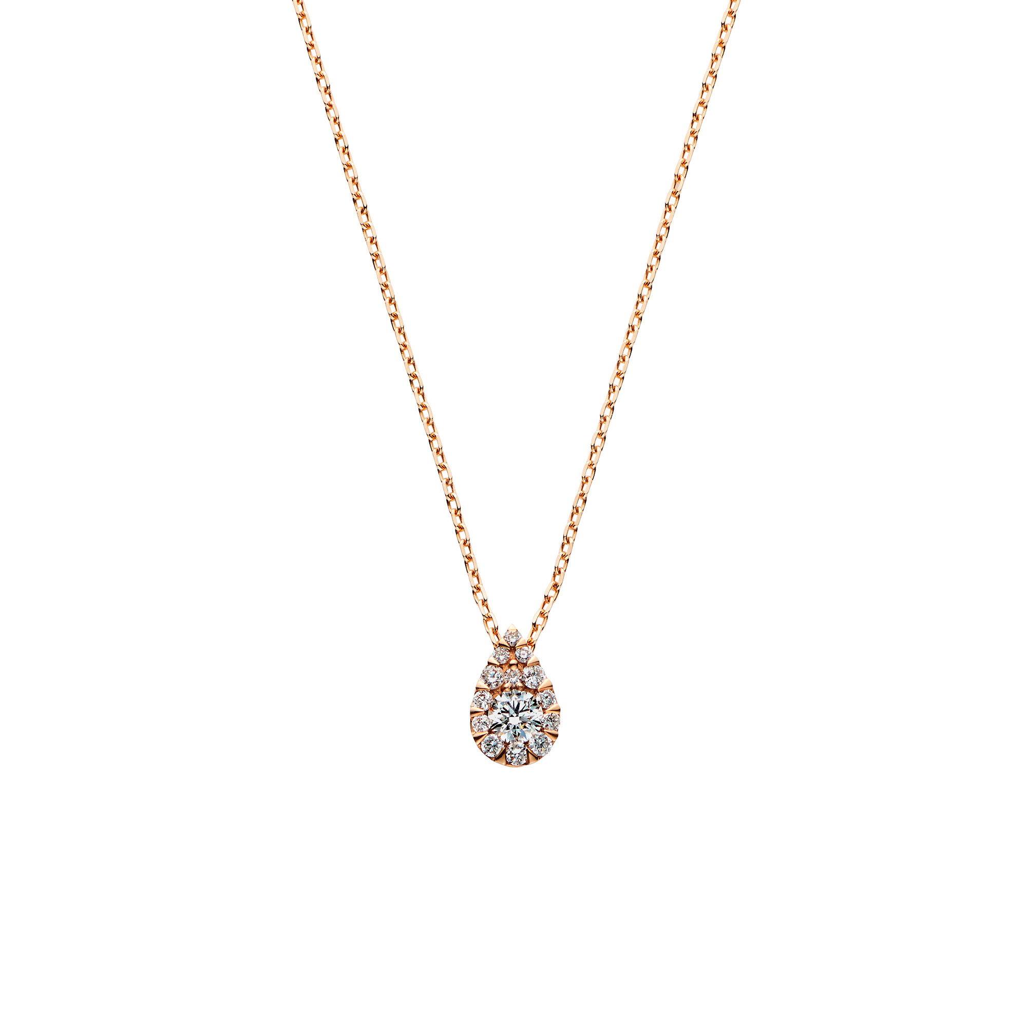 AGAN625443DI_999_0_20240823130