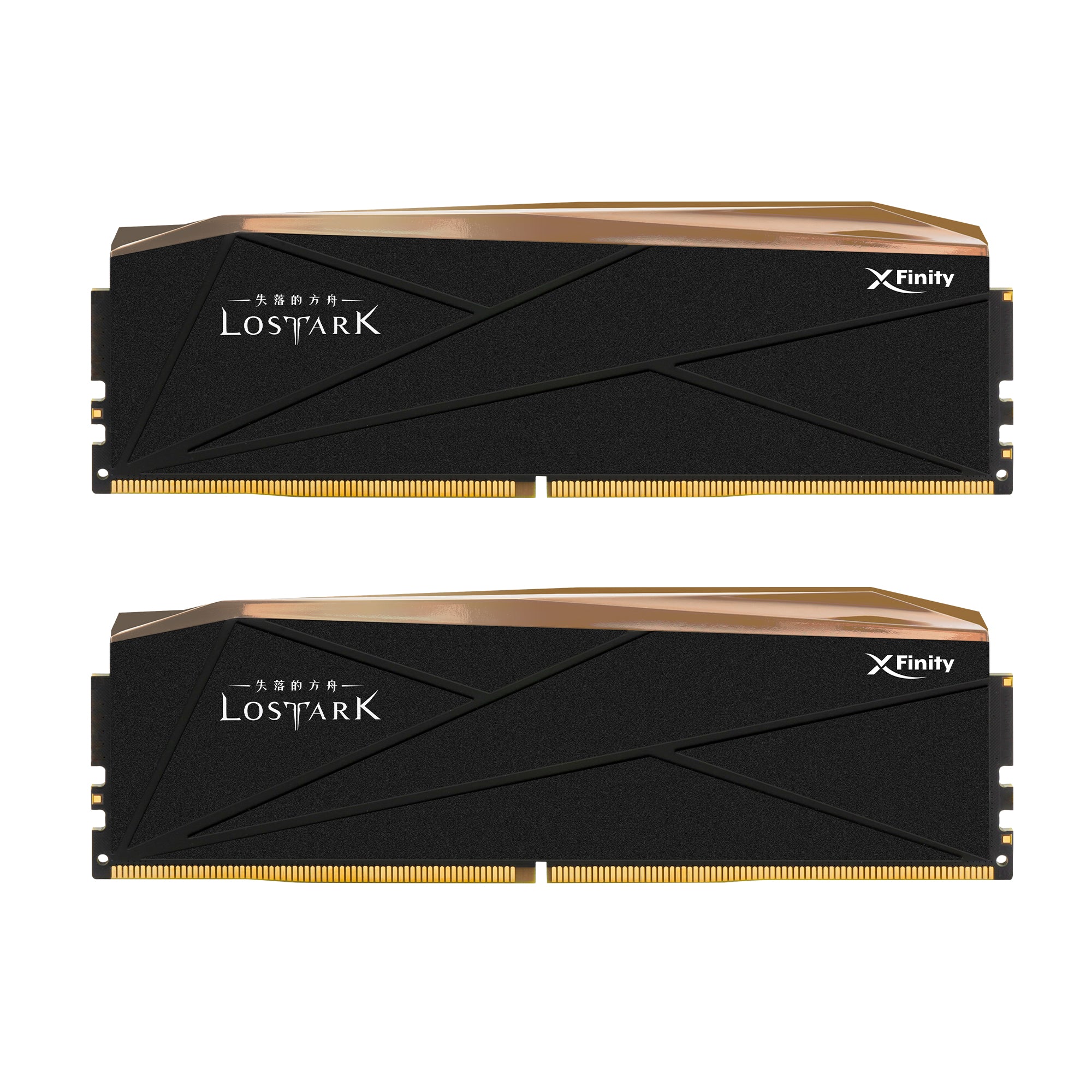 DDR5 | Manta XFinity RGB