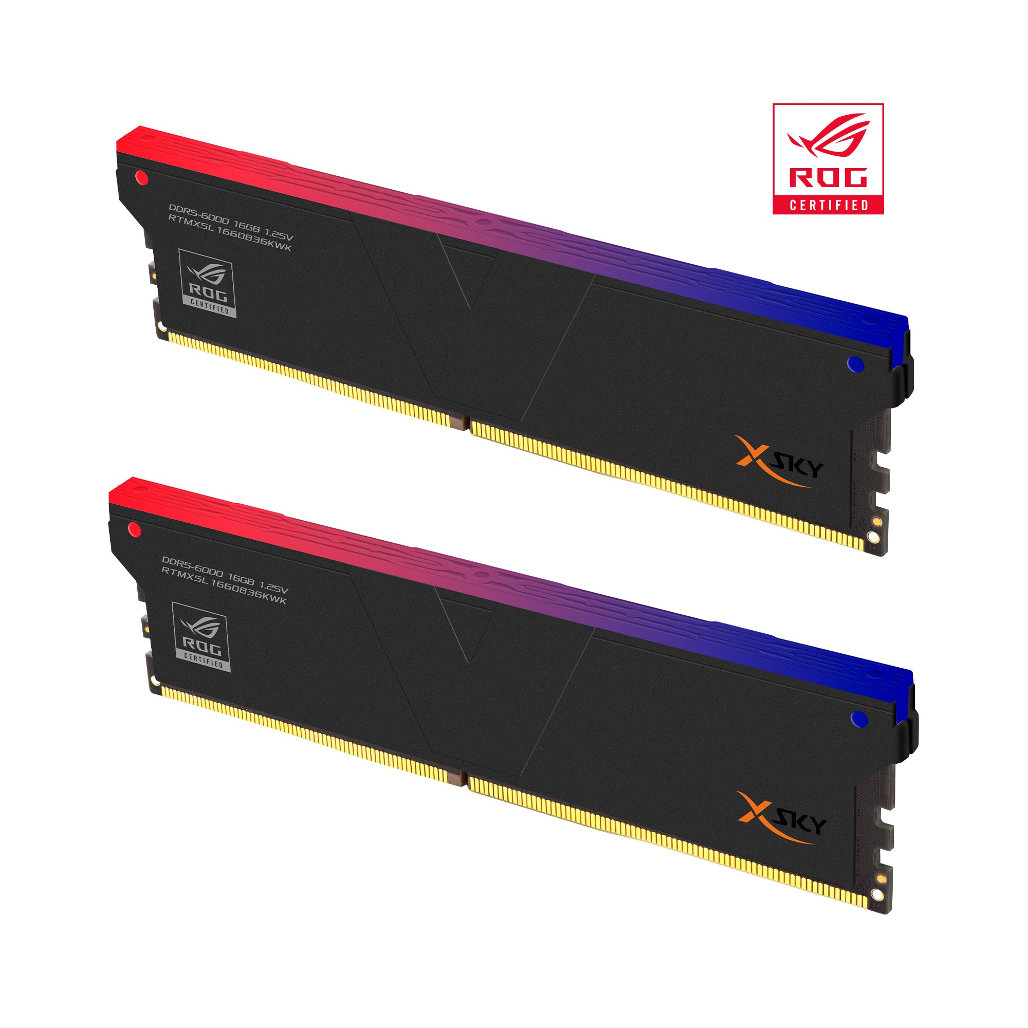 DDR5 | ROG-Certified | [Manta] XSky RGB | 32GB (16GBx2) | INTEL XMP |